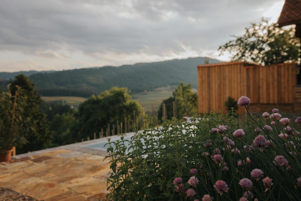 Am Wildbachberg - Luxus Ferienhaeuser Mit Infinitypool, Privatsauna Und Weinkeller Deutschlandsberg Exterior foto